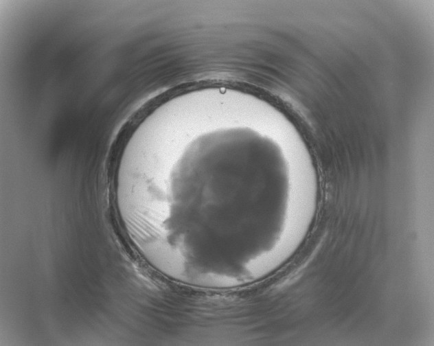 X0000070171117200606162049