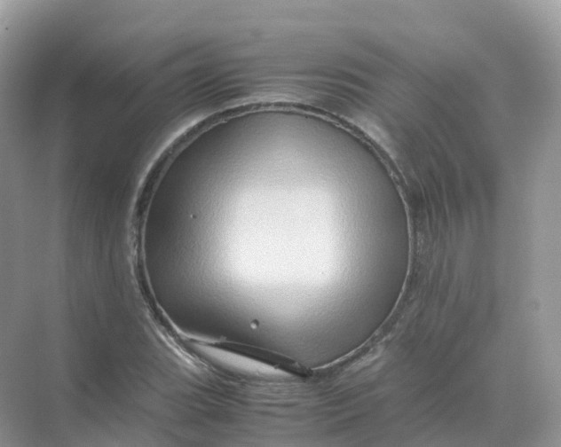 X0000070171119200606162049