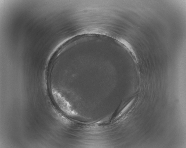 X0000070171120200606162049