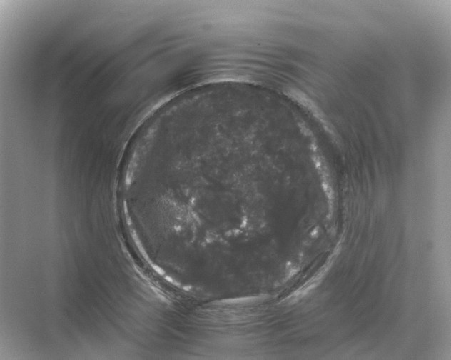 X0000070171121200606162049