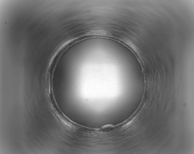 X0000070171123200606162049