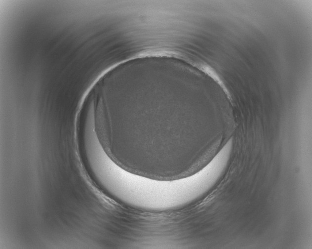 X0000070171124200606162049