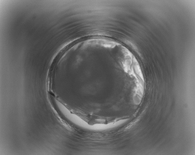 X0000070171125200606162049