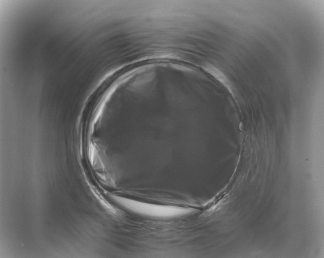 X0000070171127200606162049