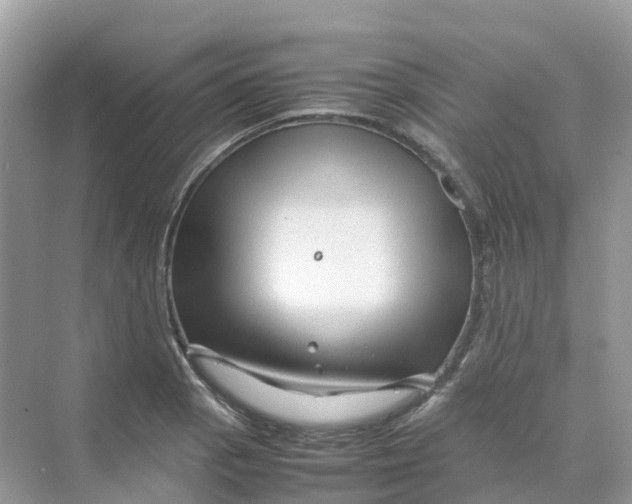 X0000070171129200606162049