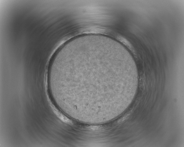 X0000070171130200606162049