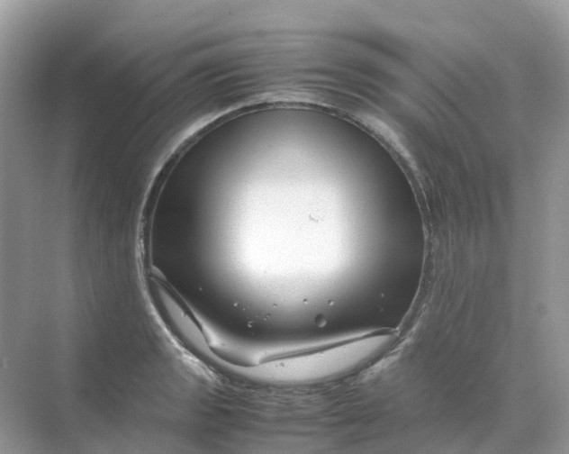 X0000070171133200606162049