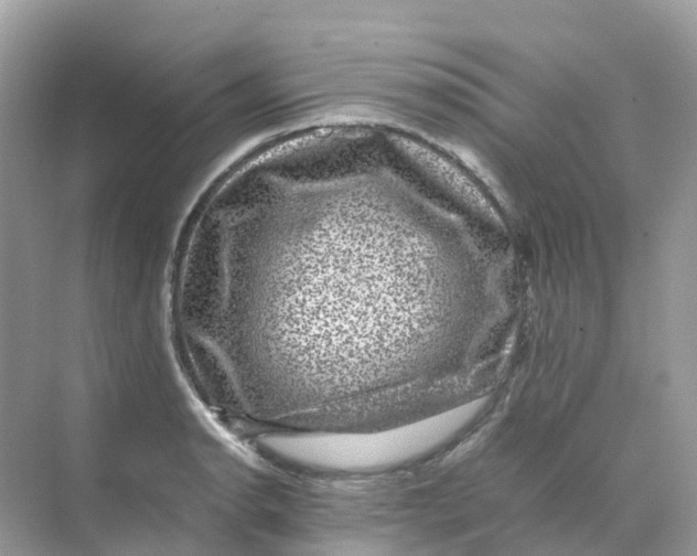 X0000070171134200606162049