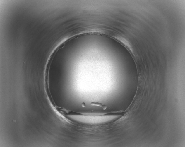 X0000070171135200606162049