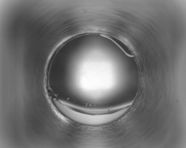 X0000070171136200606162049