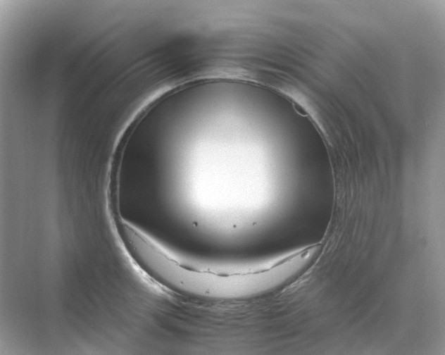 X0000070171139200606162049