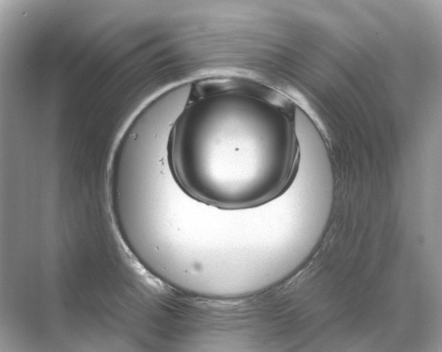 X0000070171140200606162049