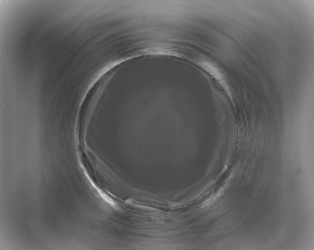 X0000070171141200606162049