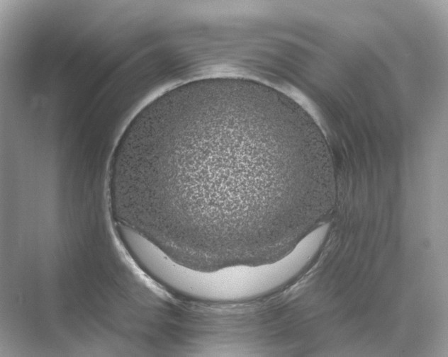 X0000070171142200606162049