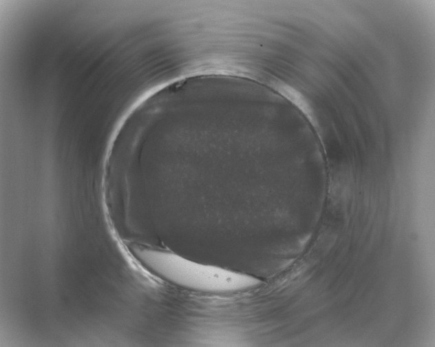 X0000070171144200606162049