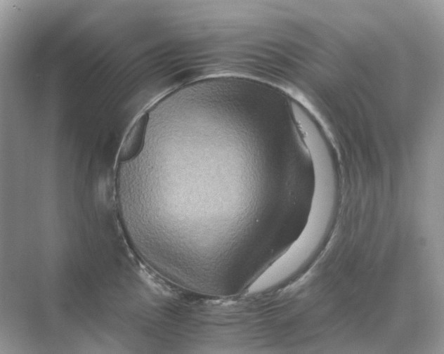 X0000070171145200606162049