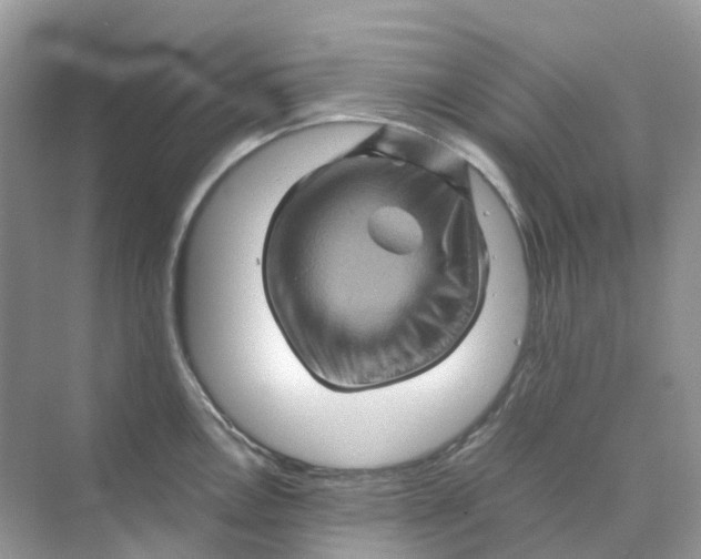 X0000070171146200606162049