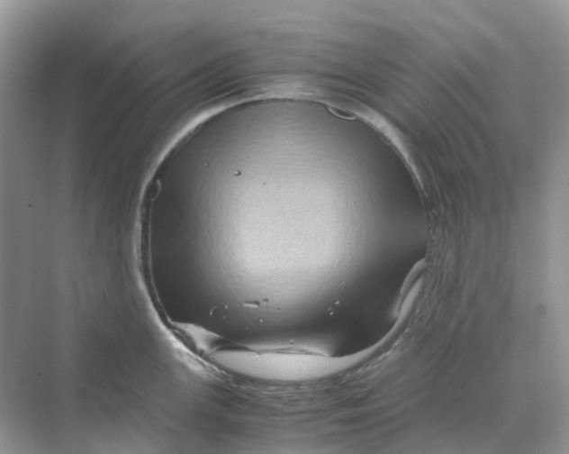 X0000070171147200606162049