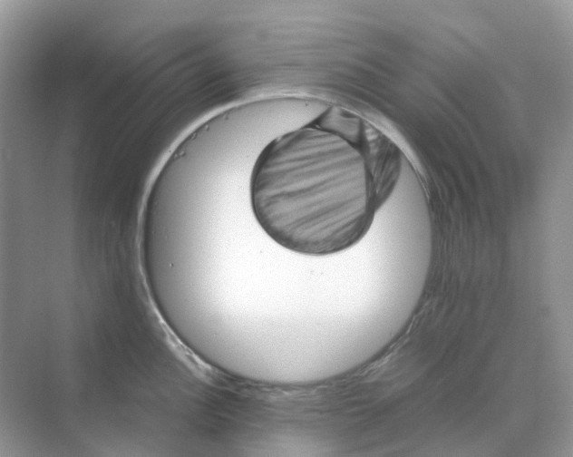 X0000070171148200606162049