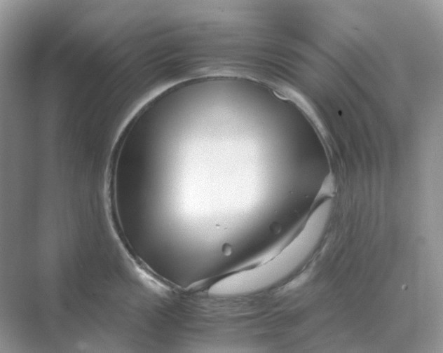 X0000070171149200606162049