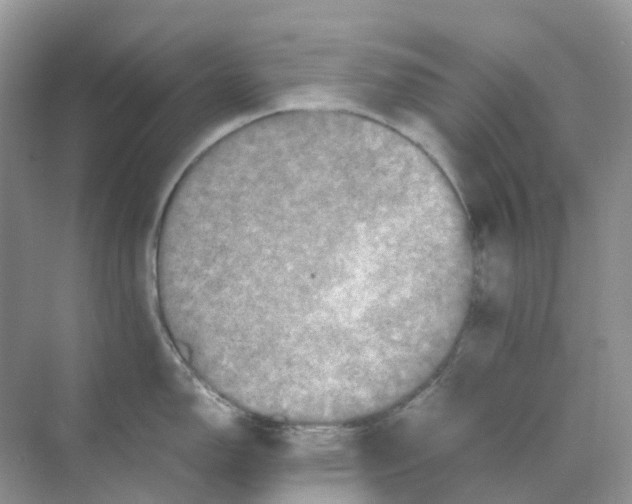 X0000070171150200606162049