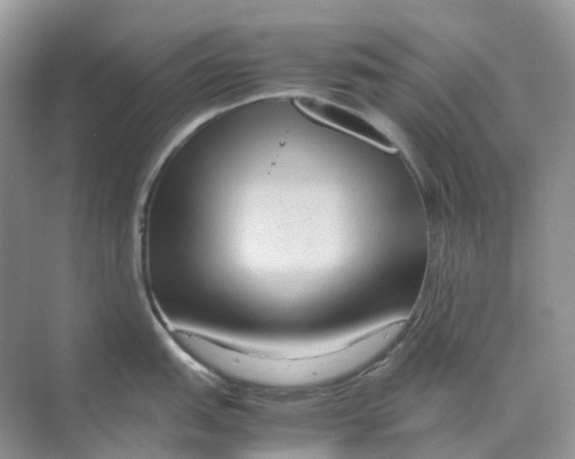 X0000070171151200606162049