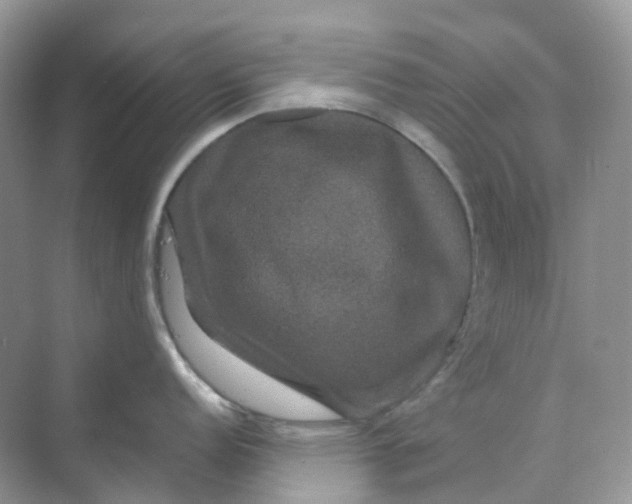 X0000070171152200606162049