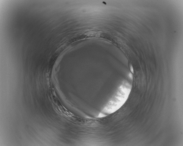 X0000070171154200606162048