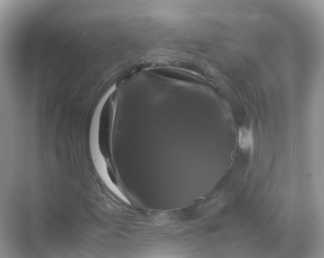 X0000070171155200606162048