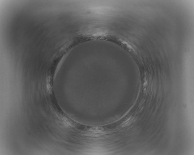 X0000070171156200606162048