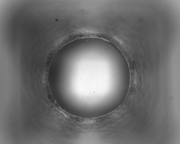 X0000070171157200606162048