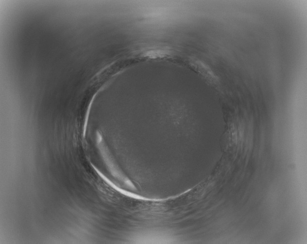 X0000070171158200606162048