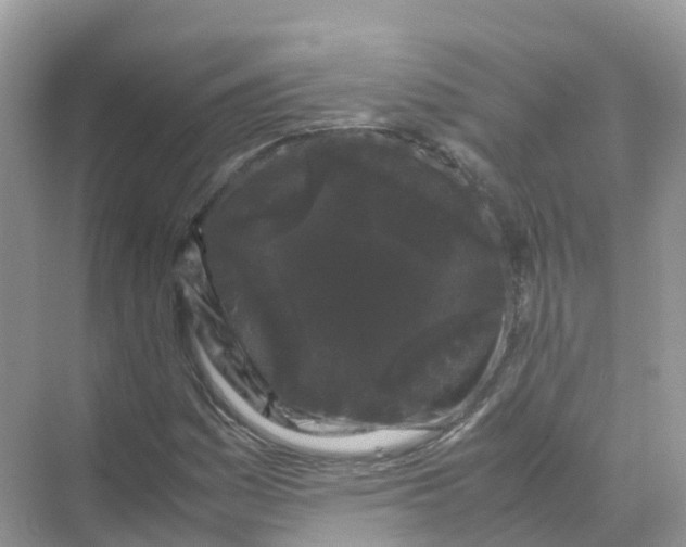 X0000070171161200606162048