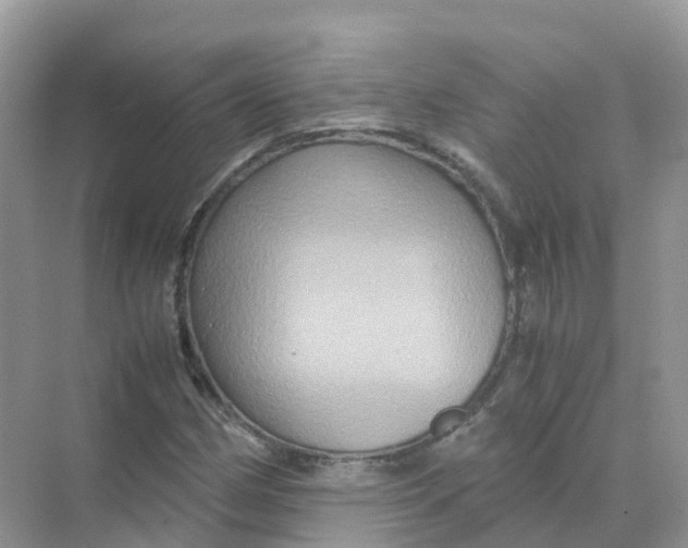 X0000070171162200606162048