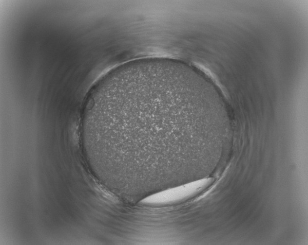 X0000070171163200606162048