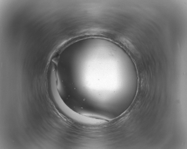 X0000070171164200606162048