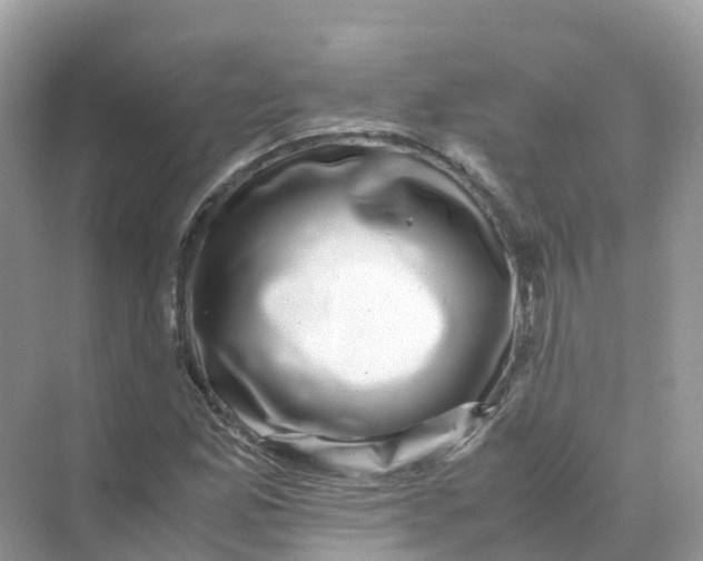 X0000070171165200606162048