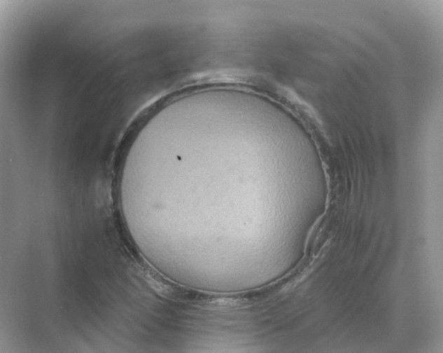 X0000070171166200606162048