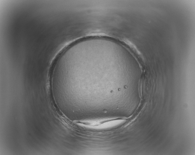 X0000070171167200606162048