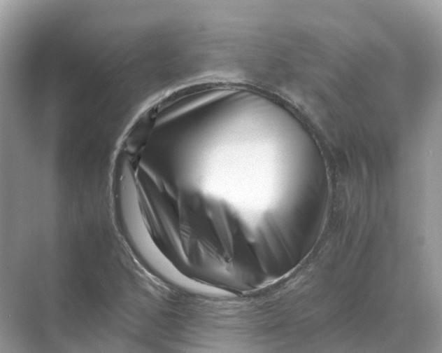 X0000070171168200606162048