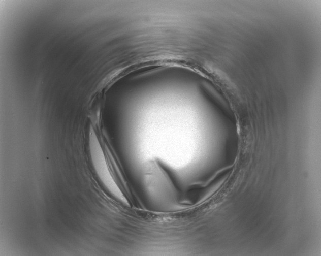 X0000070171169200606162048