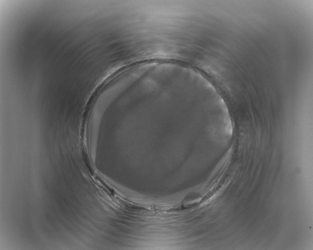 X0000070171170200606162048