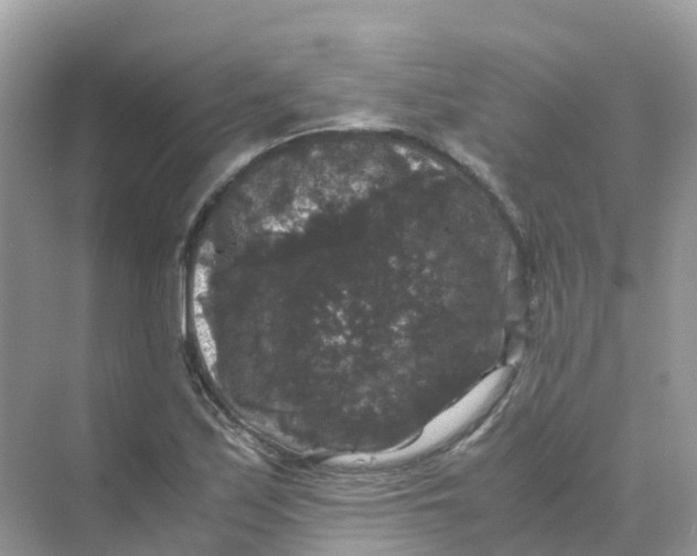 X0000070171171200606162048