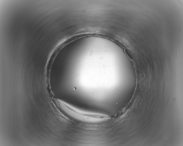 X0000070171172200606162048