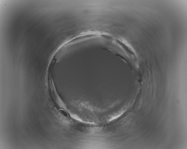 X0000070171173200606162048