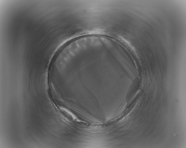 X0000070171174200606162048