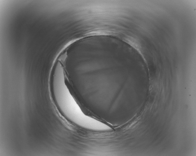 X0000070171179200606162048