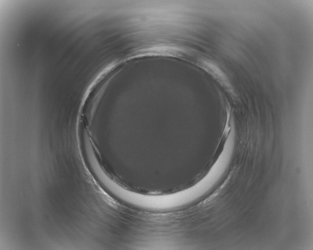 X0000070171180200606162048