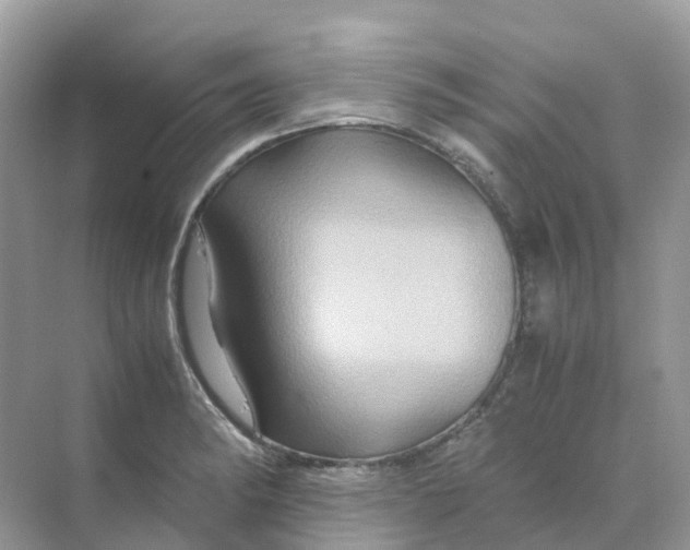 X0000070171182200606162048