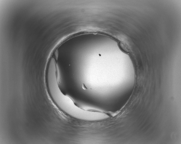 X0000070171183200606162048